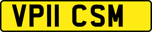 VP11CSM