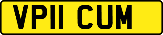 VP11CUM