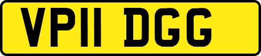 VP11DGG
