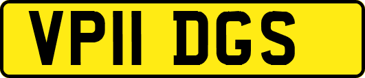 VP11DGS