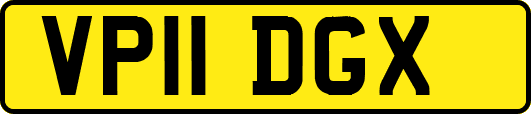 VP11DGX