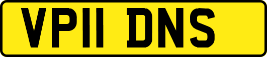 VP11DNS
