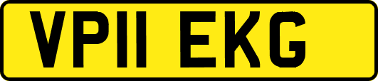 VP11EKG