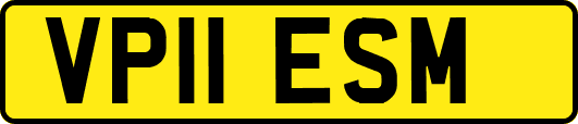VP11ESM