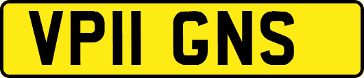 VP11GNS