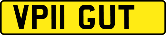 VP11GUT