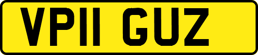 VP11GUZ