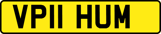 VP11HUM
