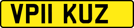 VP11KUZ