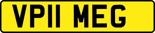 VP11MEG
