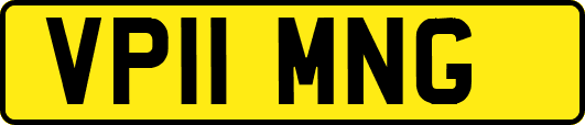 VP11MNG
