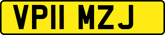 VP11MZJ