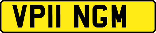 VP11NGM