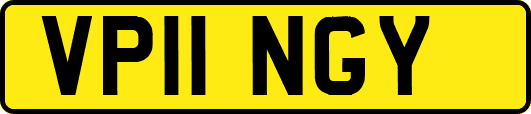 VP11NGY