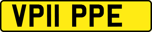 VP11PPE