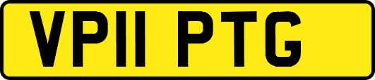 VP11PTG