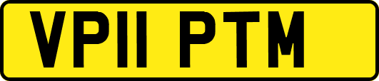 VP11PTM