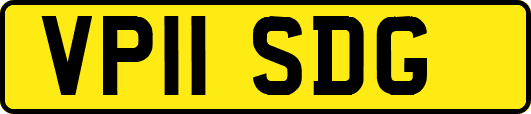 VP11SDG