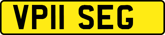 VP11SEG