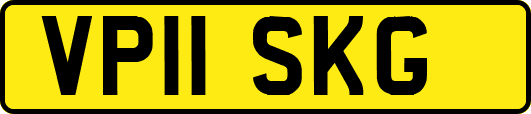 VP11SKG