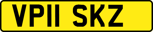 VP11SKZ