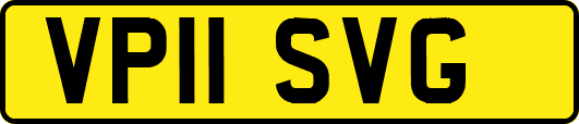 VP11SVG