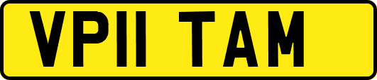 VP11TAM