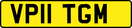 VP11TGM