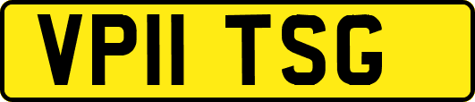 VP11TSG
