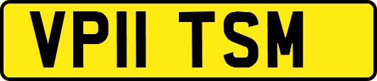 VP11TSM
