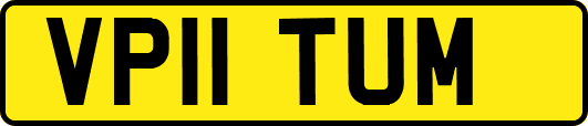 VP11TUM