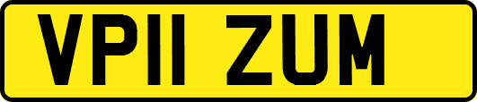 VP11ZUM