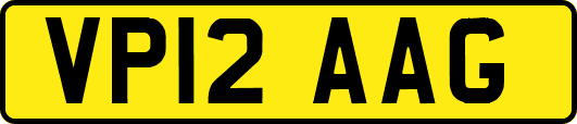 VP12AAG