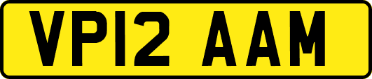 VP12AAM