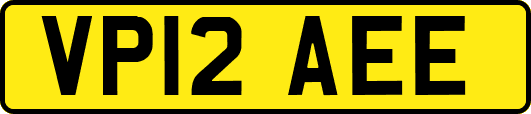 VP12AEE