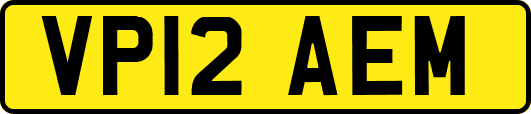VP12AEM