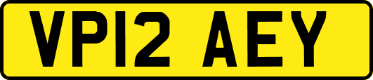 VP12AEY