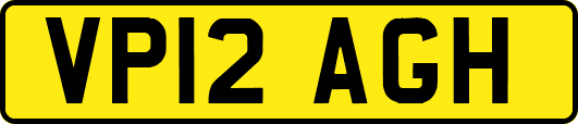VP12AGH