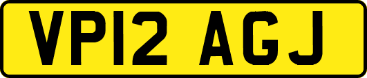VP12AGJ