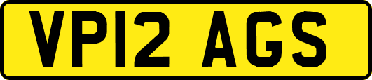 VP12AGS