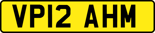 VP12AHM