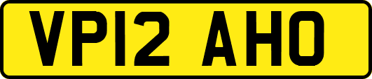 VP12AHO
