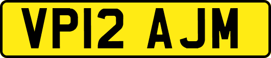 VP12AJM