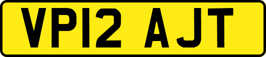 VP12AJT