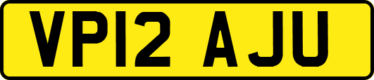 VP12AJU