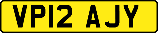 VP12AJY