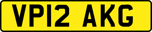 VP12AKG