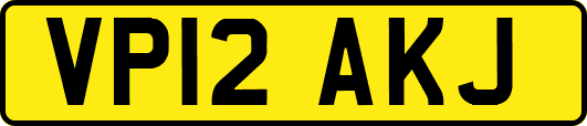 VP12AKJ