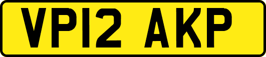 VP12AKP