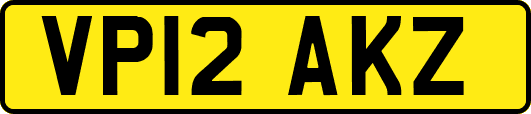 VP12AKZ